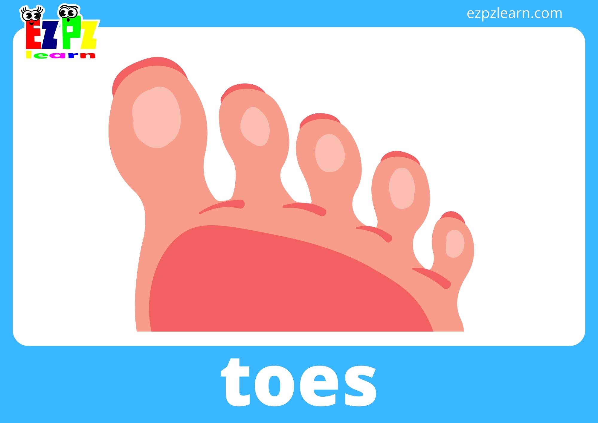 toes